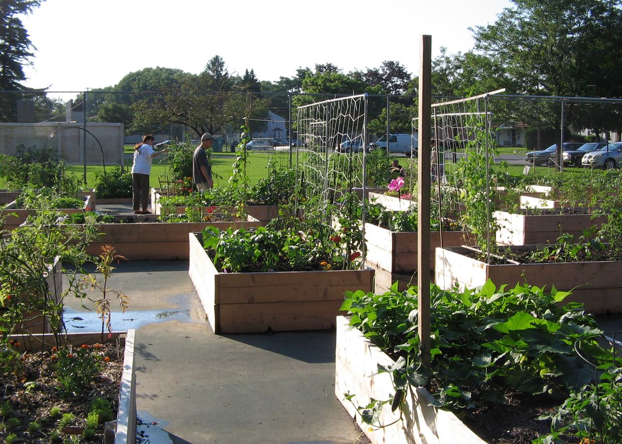 Ashland Community Gardens at Stone Park